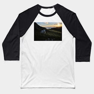 Early morning sheep on Skye - Isle of Skye, Scotland Baseball T-Shirt